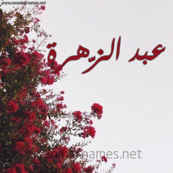 شكل 18 صوره الورد الأحمر للإسم بخط رقعة صورة اسم عبد الزَّهرة ABD-ALZAHRH